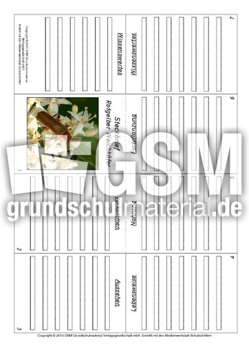 Faltbuch-Rotgelber-Weichkäfer.pdf